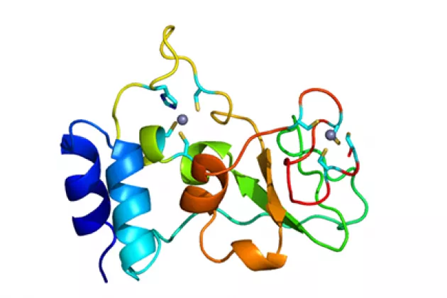 Colourful ribbon diagram of a protein structure. Illustration.