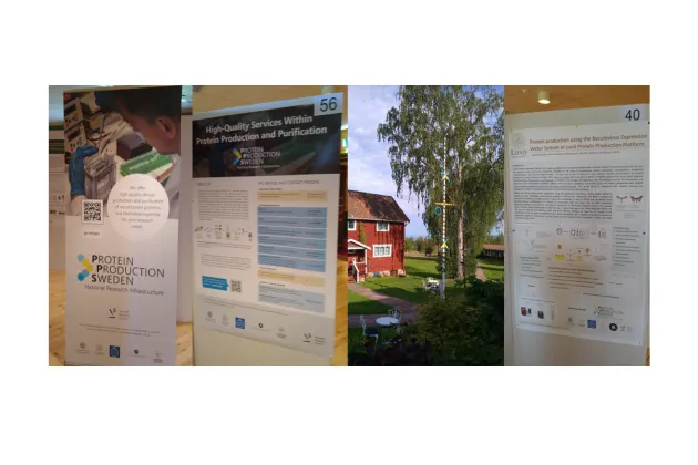 Posters presented by LP3 at the SWEPORT meeting in Tällberg 2025. Photo collage.