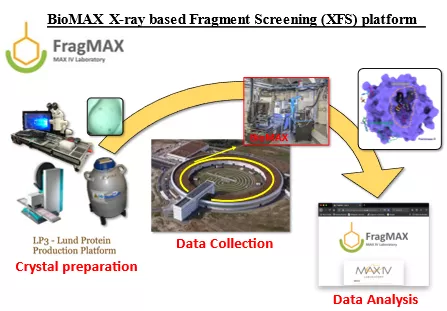 Schematic overview of the FragMax platform from crystalisation to data collection and analysis. Drawing with photos.